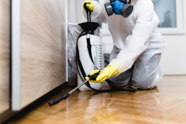 Best Emergency Pest Control  in Annapolis Neck, MD