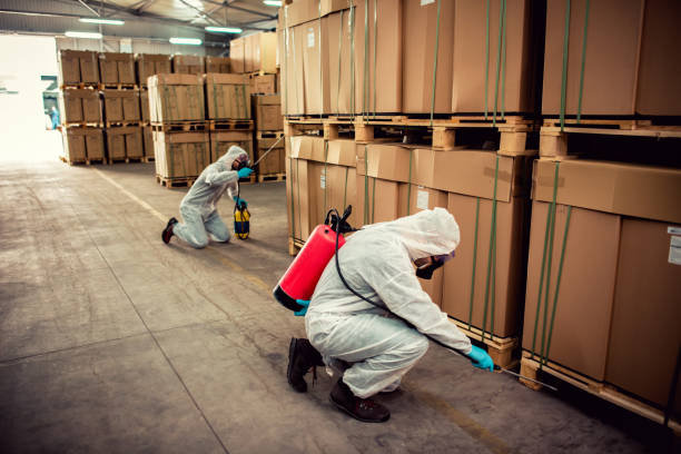 Professional Pest Control in Annapolis Neck, MD