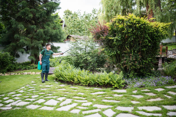 Best Mosquito Control Services  in Annapolis Neck, MD