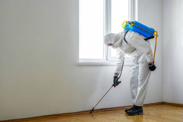 Best Wasp Removal Services  in Annapolis Neck, MD