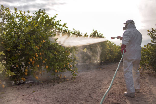 Best Pest Removal Services  in Annapolis Neck, MD