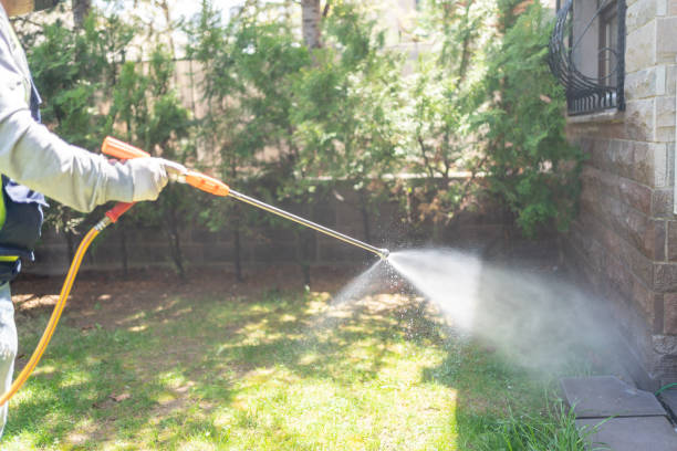 Best Pest Control for Restaurants  in Annapolis Neck, MD