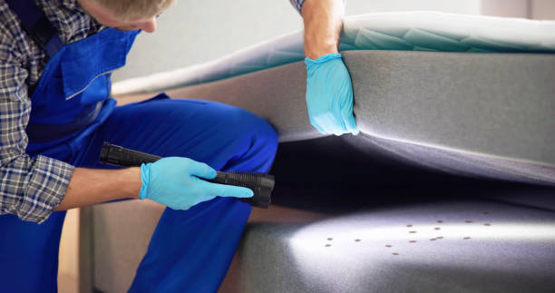 Best Best Pest Control Companies  in Annapolis Neck, MD