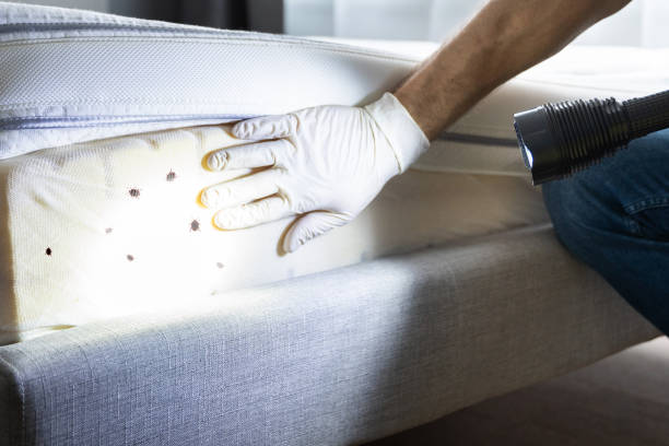 Best Affordable Pest Control Services  in Annapolis Neck, MD