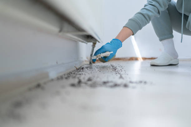 Best Termite Control Services  in Annapolis Neck, MD